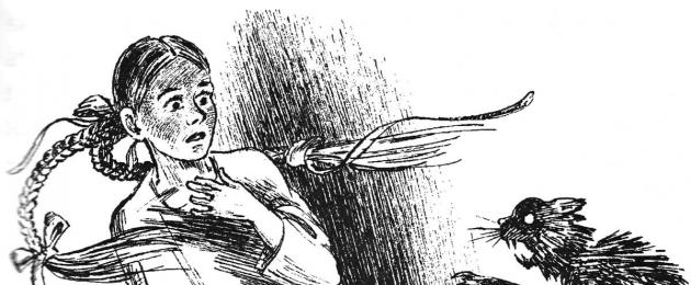Обладал ли Николай Гоголь паранормальными способностями? Необычное в жизни Н. Гоголя — о детстве, фобиях, гомосексуализме и летаргическом сне Николай гоголь мистическая биография